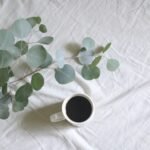 Nam pharetra fringilla justo, et commodo lacus molestie ut